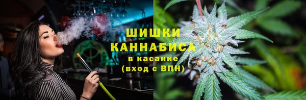 твердый Богданович