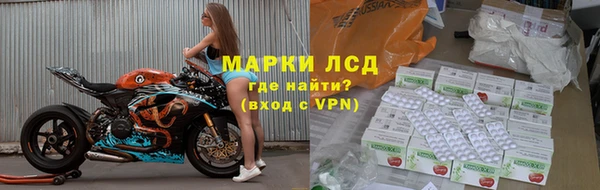 твердый Богданович