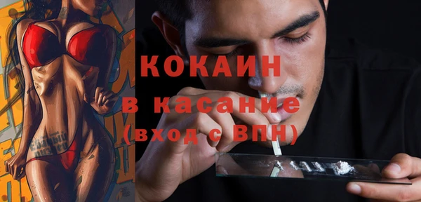 твердый Богданович