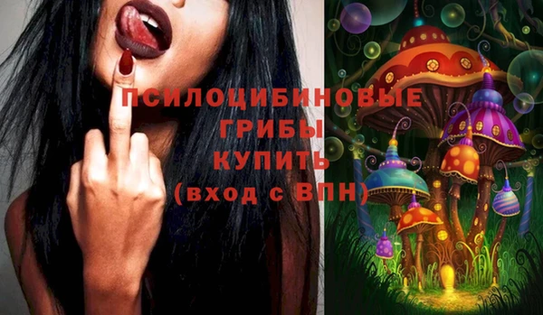 твердый Богданович