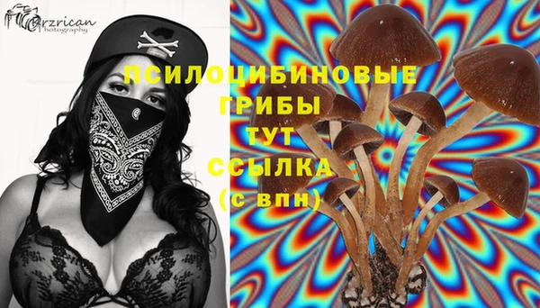 не бодяженный Фурманов